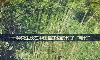 首页| beat365中国区唯一官网