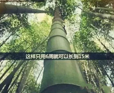 首页| beat365中国区唯一官网